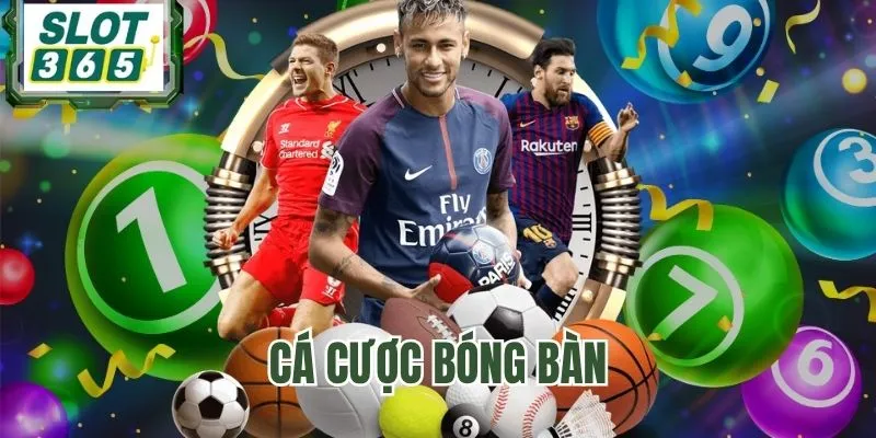 Trải nghiệm bóng bàn tại các đấu trường quốc tế