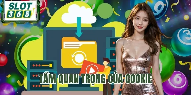 Lý do cần có chính sách Cookie rõ ràng